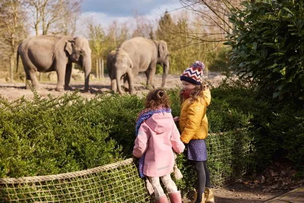 Eindhoven zoo