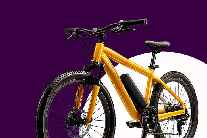 elektrische fiets